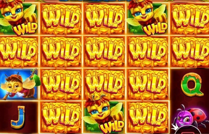 Слот 3 Buzzing Wilds