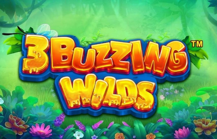 Слот 3 Buzzing Wilds